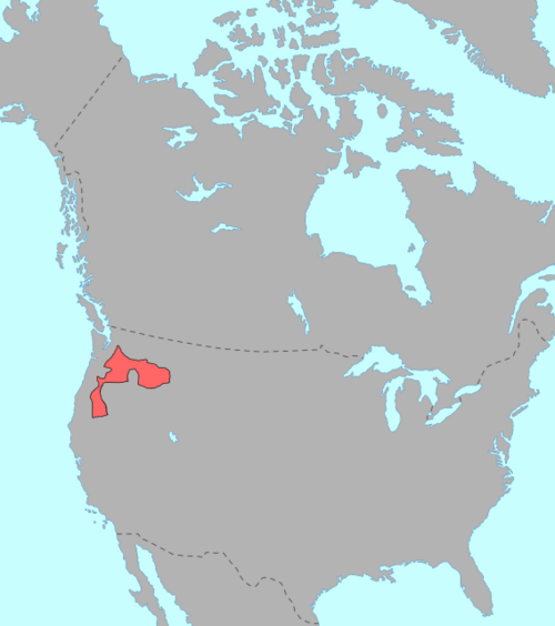 Nez Percé language